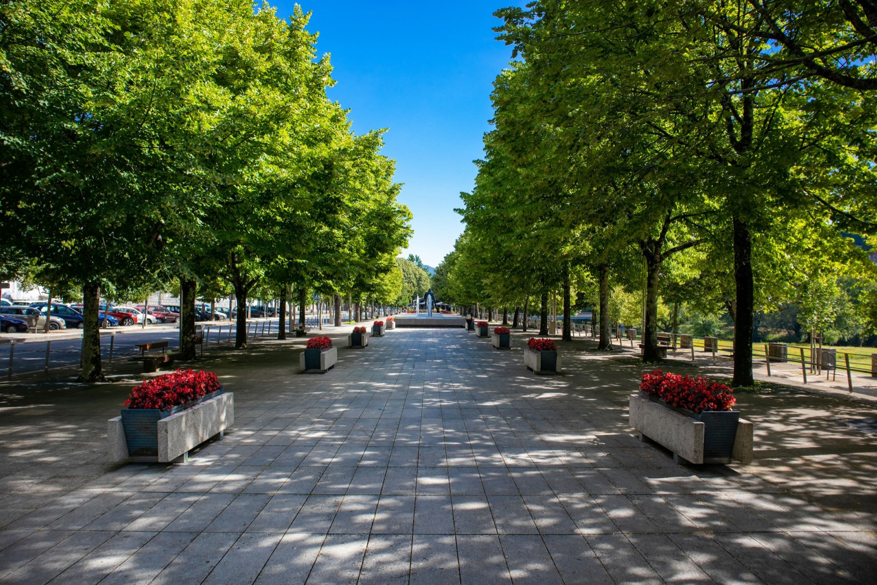 Tree-lined promenade and flower planters in Campo do Trasladário